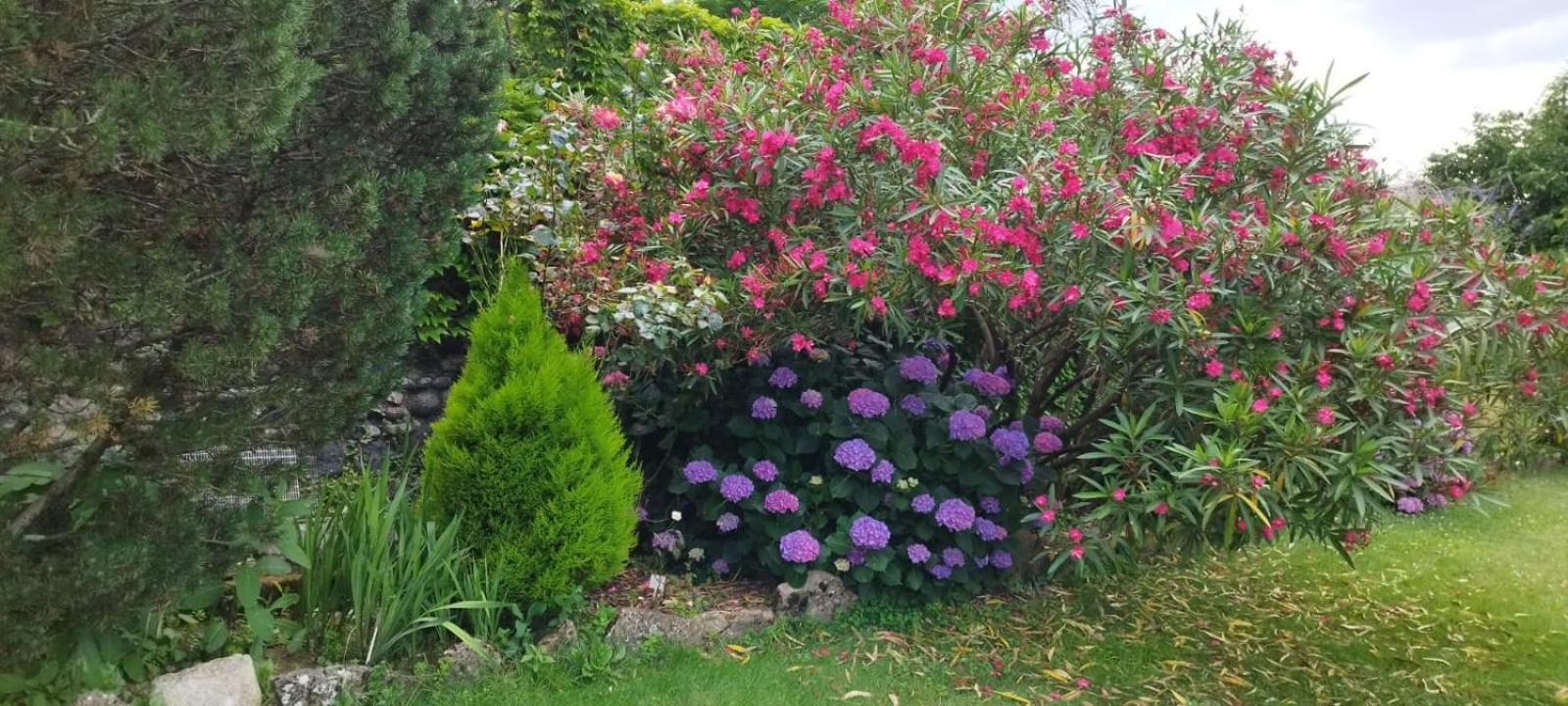 Gite 3 "Le Canal De Baza" Aux Magnolias Aubenas Zewnętrze zdjęcie