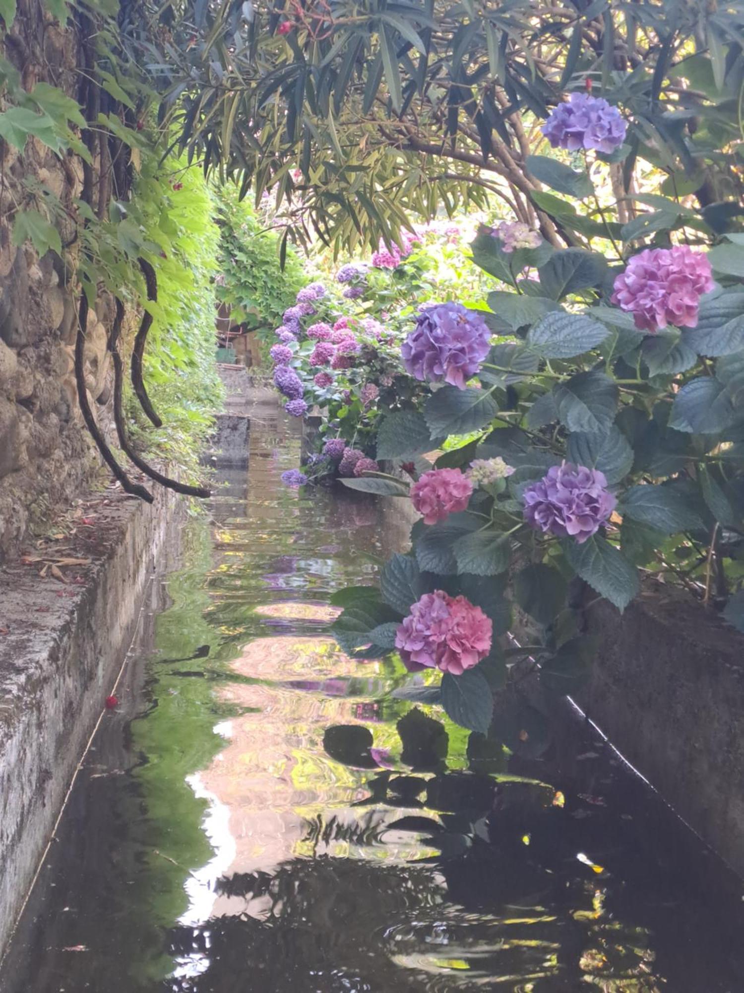 Gite 3 "Le Canal De Baza" Aux Magnolias Aubenas Zewnętrze zdjęcie