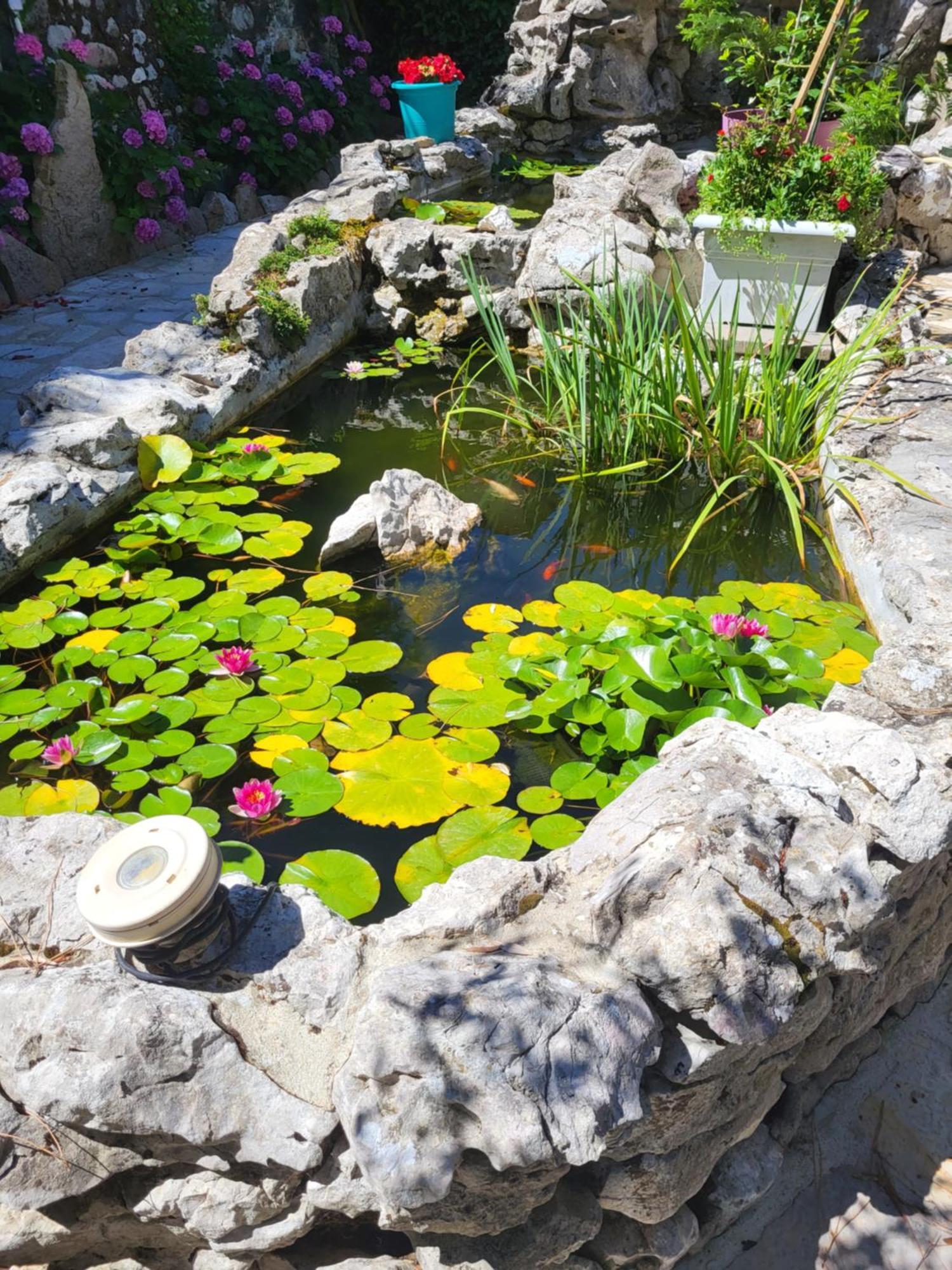 Gite 3 "Le Canal De Baza" Aux Magnolias Aubenas Zewnętrze zdjęcie