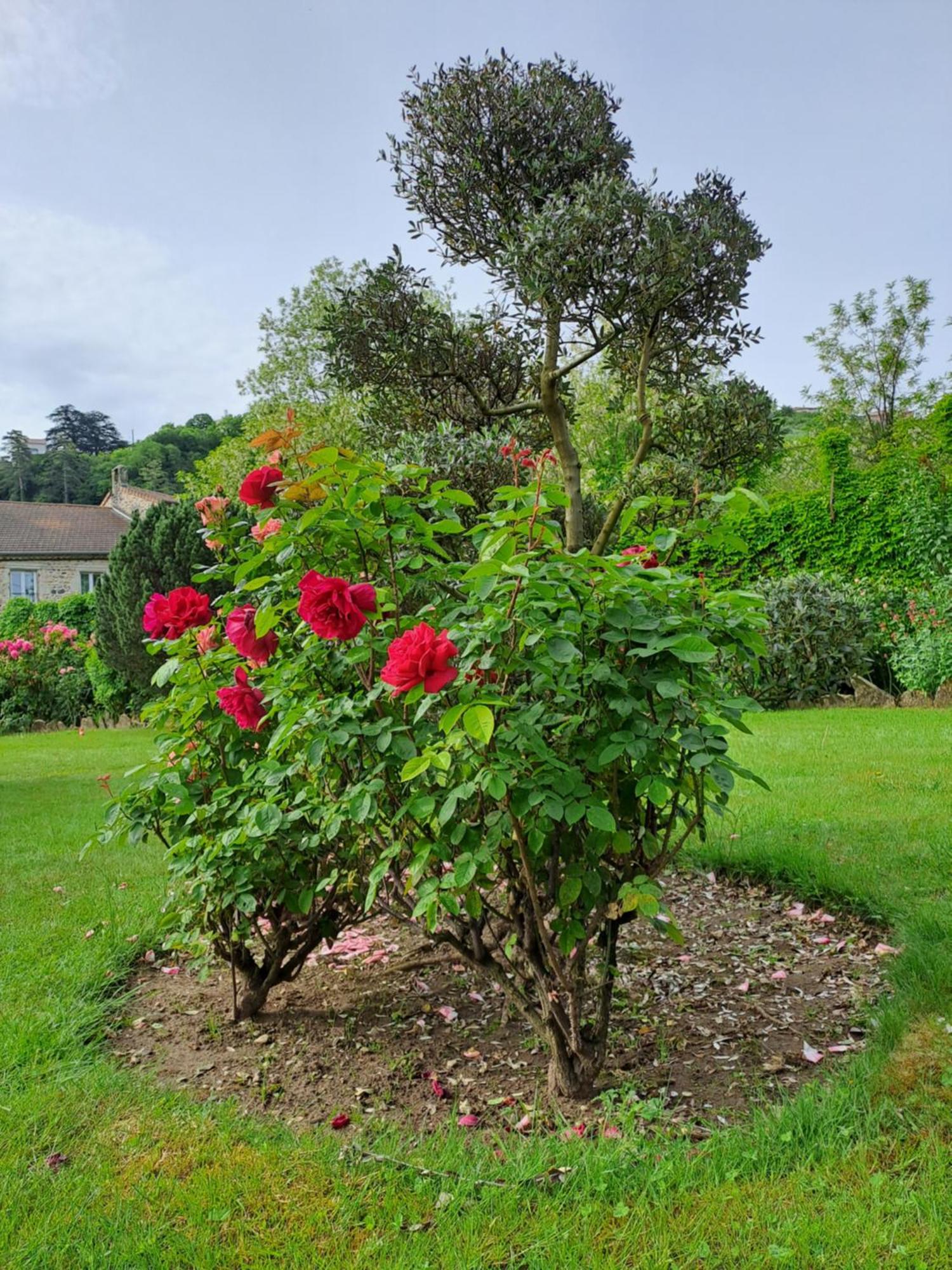 Gite 3 "Le Canal De Baza" Aux Magnolias Aubenas Zewnętrze zdjęcie